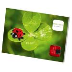 Конструкторы