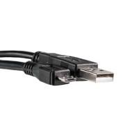 Дата кабель PowerPlant USB 2.0 AM to Micro 5P 0.1m Фото