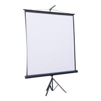 Проекционный экран Atria TRM-NTSC-84D Фото