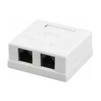 Компьютерная розетка Ritar RJ45x2 UTP, 8P8C, cat.5e Фото