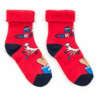 Шкарпетки дитячі BNM с лосем Фото