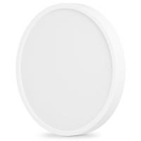 Светильник Videx LED 24W 5000K Фото