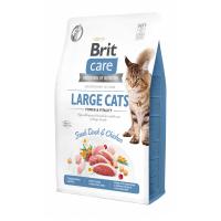 Сухий корм для кішок Brit Care Cat GF Large cats Power and Vitality 2 кг Фото