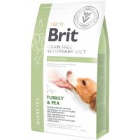 Сухий корм для собак Brit GF VetDiets Dog Diabetes 2 кг Фото