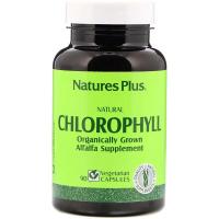 Травы Natures Plus Органический Хлорофилл, Natural Chlorophyll, 90 Фото