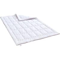 Ковдра MirSon антиалергенна DeLuxe Eco-Soft Hand Made 819 Зима 1 Фото