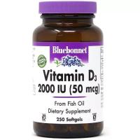 Вітамін Bluebonnet Nutrition Витамин D3 2000IU, 250 желатиновых капсул Фото
