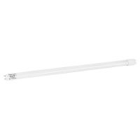 Лампочка MAGNUM FLE-002 24 Вт T8 6500K 220В G13 Фото