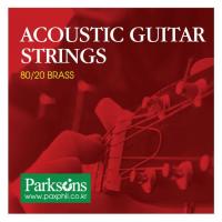Струны для гитары Parksons Acoustic L (11-50) Фото