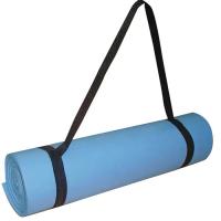 Коврик для фитнеса Toorx Rolled 160х50х0,8 см Azzurro (MAT-160) Фото