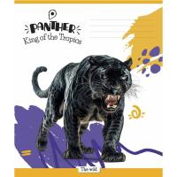 Тетрадь Школярик King of the Tropics 18 листов клетка Фото