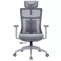 Офісне крісло OfficePro Balance OC620-G-DG-DG Фото