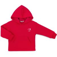 Кофта детская Toontoy худи флисовая Фото