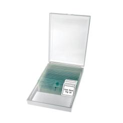 Микроскоп Bresser Erudit Basic Bino 40x-400x Фото 2