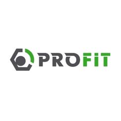 Воздушный фильтр для автомобиля Profit 1512-4222 Фото