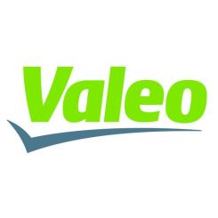 Воздушный фильтр для автомобиля Valeo 585024 Фото