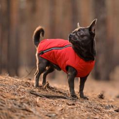Жилет для животных Pet Fashion "E.Vest" S красный Фото 2
