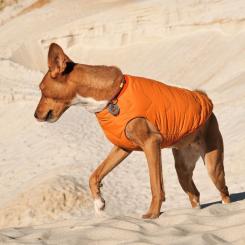 Жилет для животных Pet Fashion "E.Vest" XS оранжевый Фото 3