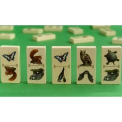Настольная игра Capstone Games Renature (Расцвет), английский Фото 2