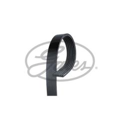 Поликлиновый ремень Gates 6PK1613 Фото