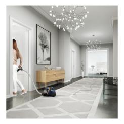 Пылесос Electrolux EUFC8ALRGY Фото 4