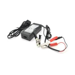 Сетевое зарядное устройство для АКБ Merlion 12V(14,6V)-3A-36W Фото