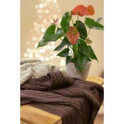 Плед Прованс SOFT косы Мокко 140х180 см Фото 3