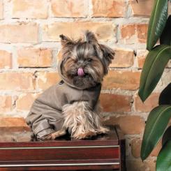 Костюм для животных Pet Fashion Pf Style S Фото 4