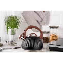 Чайник Ardesto Gemini 2.5 л Чорний Фото 3