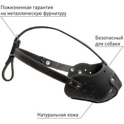 Намордник для собак Collar (бультер'єр) чорний Фото 2