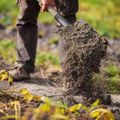 Лопата Werk совкова WS-002 Фото 2