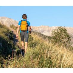 Рюкзак туристический Osprey Daylite Plus black O/S Фото 3