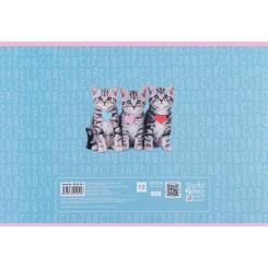 Альбом для рисования Kite Studio Pets, 12 аркушів Фото 9