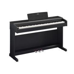 Цифровое пианино Yamaha Arius YDP-145 Black Фото