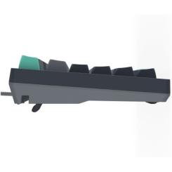 Клавиатура A4Tech FS300 FS Switches USB Panda Rock Climbin Фото 3