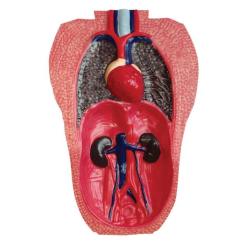 Пазл 4D Master Горила Фото 11