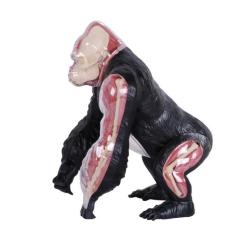 Пазл 4D Master Горила Фото 3