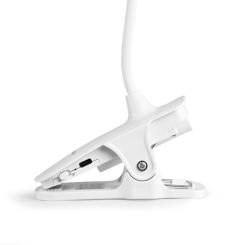 Настольная лампа TITANUM TLTF-013W Фото 5