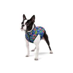 Курточка для животных WAUDOG Clothes Инжир XS 25 Фото 2