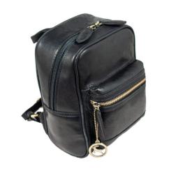 Рюкзак туристический Ashwood T87 Black Фото 1