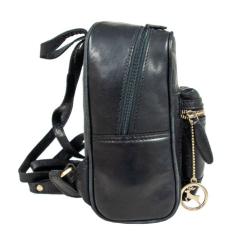 Рюкзак туристический Ashwood T87 Black Фото 2