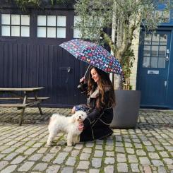 Зонт Fulton L354-041659 Minilite-2 Butterfly Фото 3