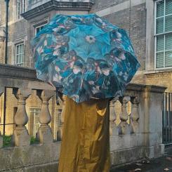 Зонт Fulton National Gallery Minilite-2 L849 The Umbrellas Фото 2