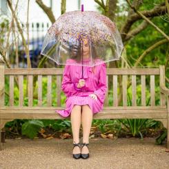 Зонт Fulton L042 Birdcage-2 Hippie Scatter Фото 2