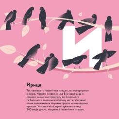 Книга Видавництво Старого Лева Книжечка-мандрівочка. Вінниця Фото 10