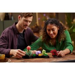 Конструктор LEGO Botanicals Суккуленты Фото 9