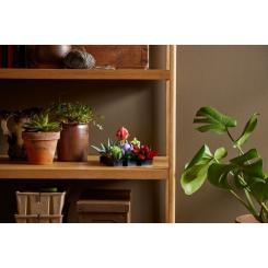 Конструктор LEGO Botanicals Суккуленты Фото 10