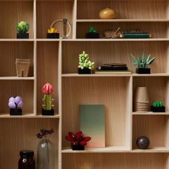 Конструктор LEGO Botanicals Суккуленты Фото 11