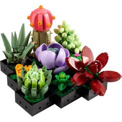 Конструктор LEGO Botanicals Суккуленты Фото 1