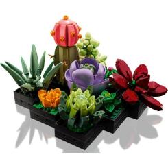 Конструктор LEGO Botanicals Суккуленты Фото 2